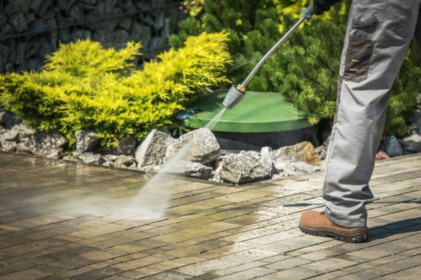 Best Dumpster Area Cleaning  in Fritz Creek, AK