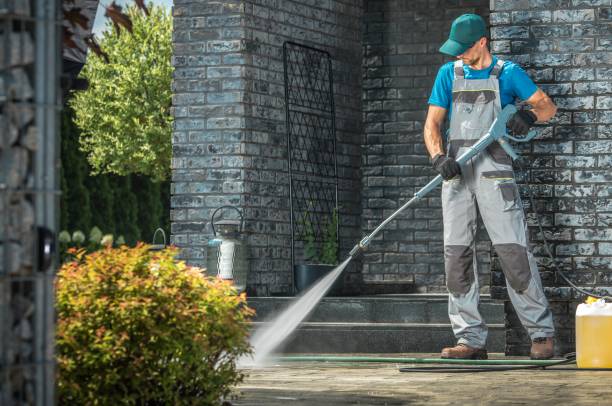 Best Sidewalk and Walkway Cleaning  in Fritz Creek, AK